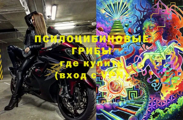 дживик Белоозёрский